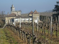 image vignoble château Bonnet